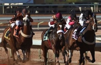 Saudi Arabia to have richest horse racing competition
