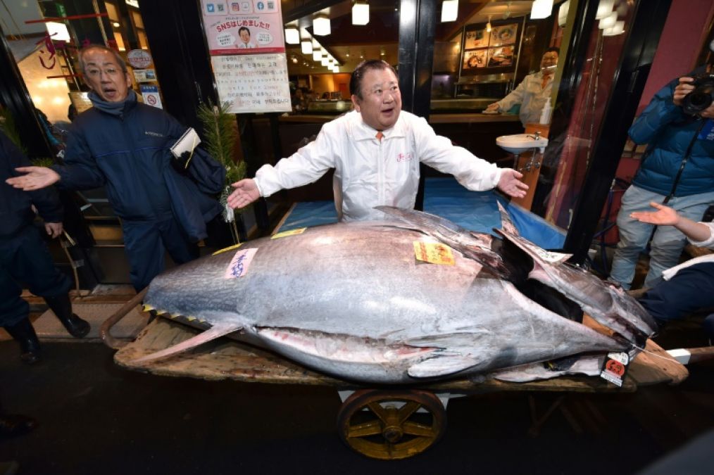 Tuna King's big announcement, This fish sold for 13 crores