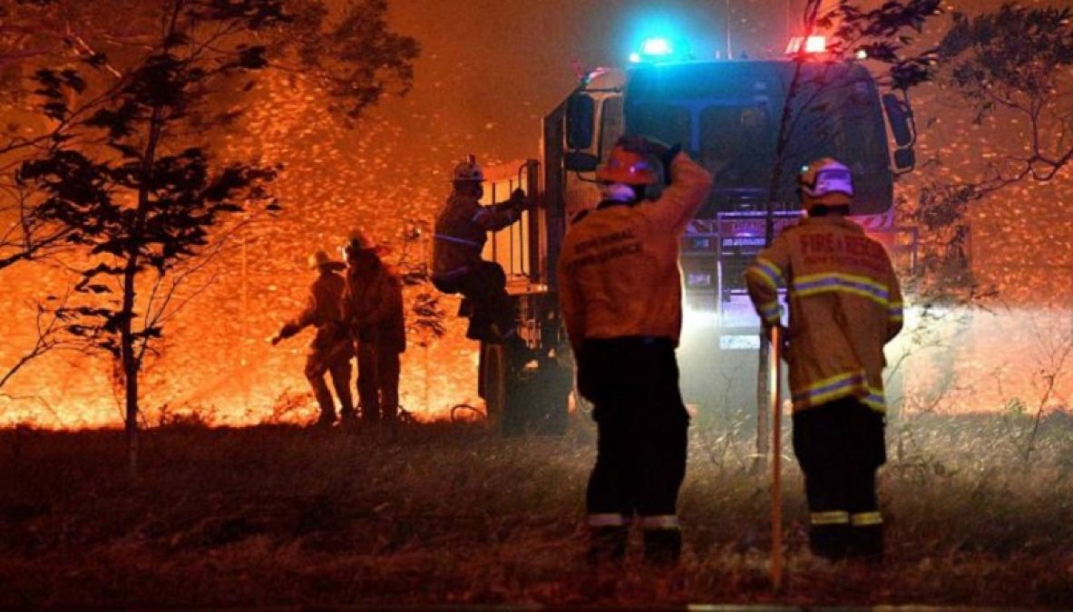 Australia: Forest fire holds macabre form, 50 crore animals died so far
