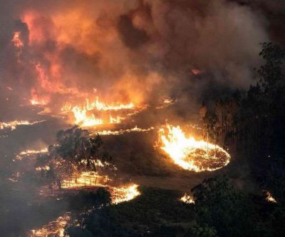 After forest fire in Australia, rain is not expected