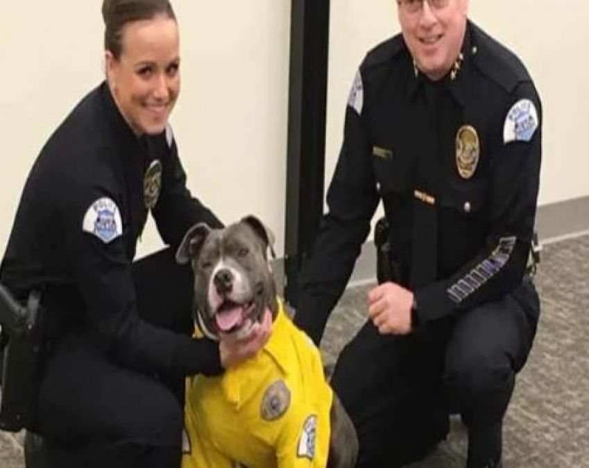 सड़क पर फिरने वाले बीमार कुत्ते को मिला पुलिस अधिकारी बनने का मौका