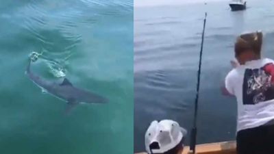 VIDEO: बीच समुद्र में फिशिंग कर रही थी लड़की, अचानक आ गई शार्क और फिर....