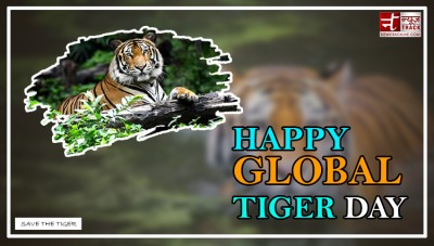 जानिए क्या है विश्व बाघ दिवस का इतिहास