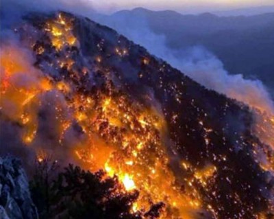 धधकता तुर्की: देश के 60 स्थानों पर भड़की भीषण आग, हर तरफ मौत का मंजर