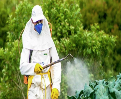 Switzerland soon to become world's first country to ban artificial pesticides