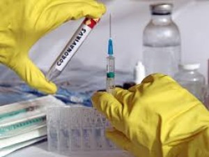 कोरोना से जंग के खिलाफ, टीवी और पोलियों के टीके पर होगा शोध