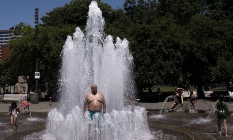 134 people died in Canada due to heat wave
