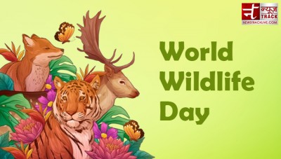 जानिए किस वजह से मनाया जाता है विश्व वन्यजीव दिवस