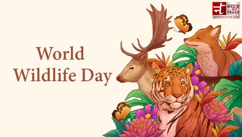 तो इसलिए मनाया जाता है विश्व वन्यजीव दिवस