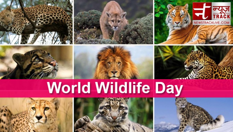 जानिए आखिर क्यों मनाया जाता है  world wildlife day