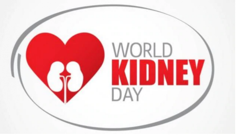 World Kidney Day: Know what causes kidney diseases and its prevention