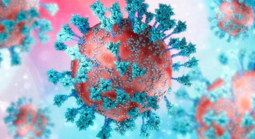 New virus hit India, know how dangerous it is and what are its symptoms