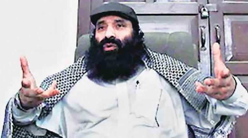 Hizbul Chief Salahuddin stunned over Naiku's death, threatens to burn Kashmir