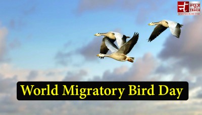 Find out why World Migratory Bird Day is celebrated