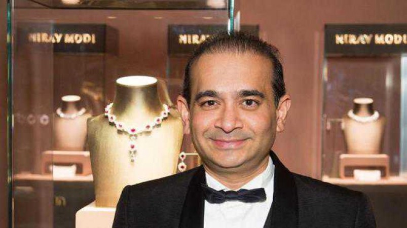 Fugitive Nirav Modi can be brought to India soon, hearing started for extradition in London court