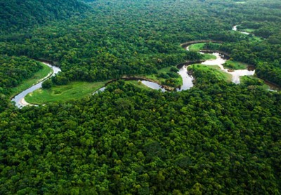 Next pandemic may come from Amazon's rain forest, researchers cautious