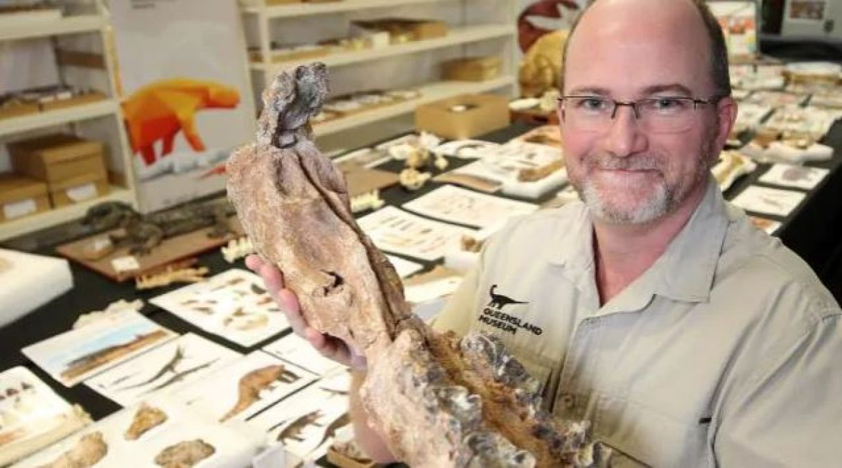 40,000-year-old fossils proved to be Australia's 2.5m long kangaroo