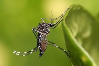 West Nile virus can prove fatal, know its symptoms