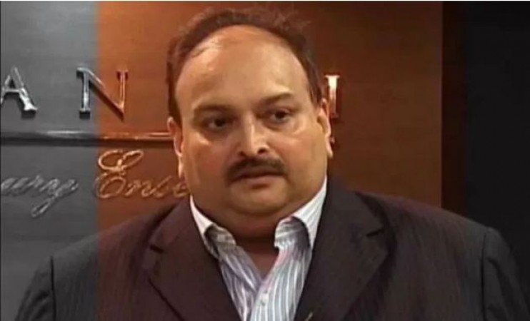 PNB scam fugitive businessman Mehul Chouksi arrested, Antigua govt to hand over him to India soon