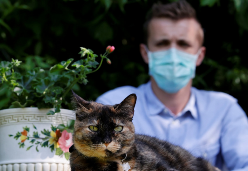 फ्रांसीसी बिल्ली कोरोना संक्रमण से हुई रिकवर