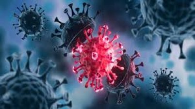 COVID-19 संक्रमण एक नई एंटीबॉडी के लिए कम गंभीर: अध्ययन