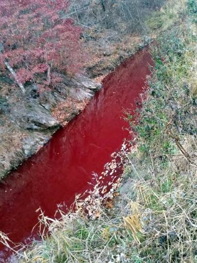 River in South Korea is red with blood, know the whole matter