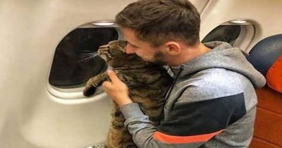Carrying a fat cat in flight leads a man to legal action