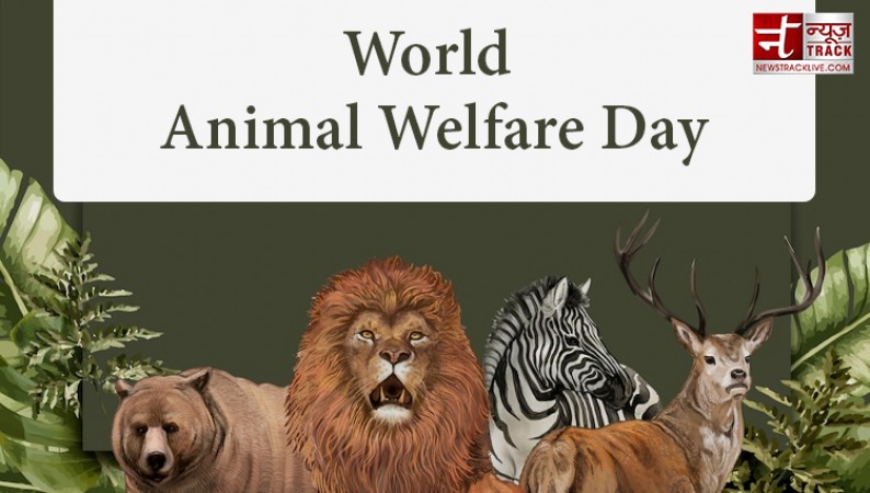 जानिए क्या है अंतर्राष्ट्रीय पशु दिवस का इतिहास