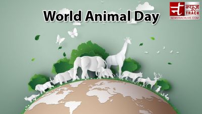 World Animal Day : जानवरों की दशा सुधारना है इस दिन का लक्ष्य, जानिए कब से हुई शुरूआत