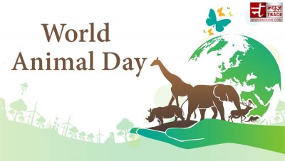 पशुओं के जीवन के बारें में जानकारी देता है world animal day