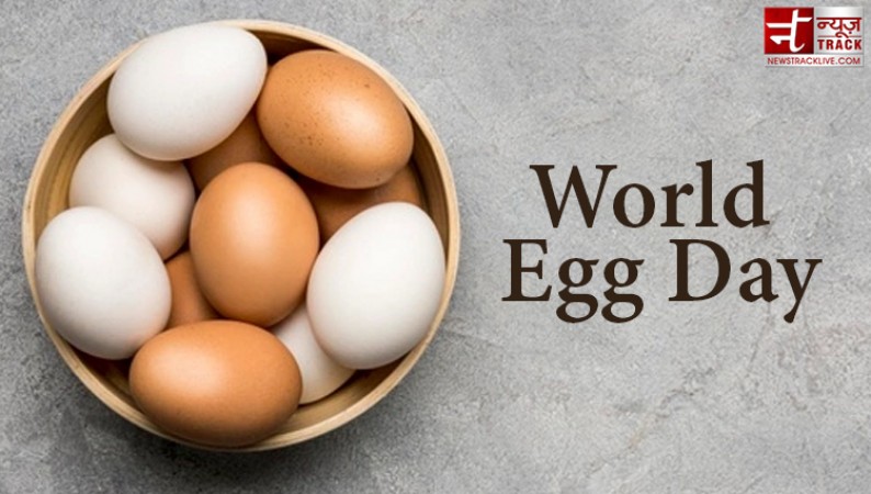 World Egg Day:  Eggs not only good for skin and hair but also for eyes