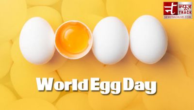 विश्व अंडा दिवस : इस खास दिन को और शानदार बनाने के लिए किजिए ये काम