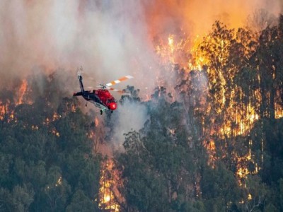 कैलिफोर्निया में आग ने मचाई तबाही, अब तक 8 की मौत, लाखों बेघर