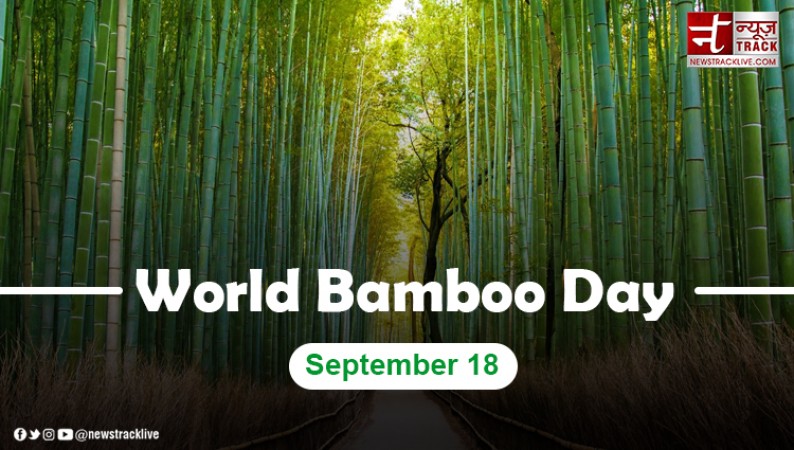 What is the history of World Bamboo Day?