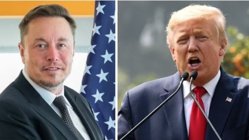 ELON MUSK FEARS TRUMP'S DEFEAT, SAYS HE WON'T SEE HIS CHILDREN