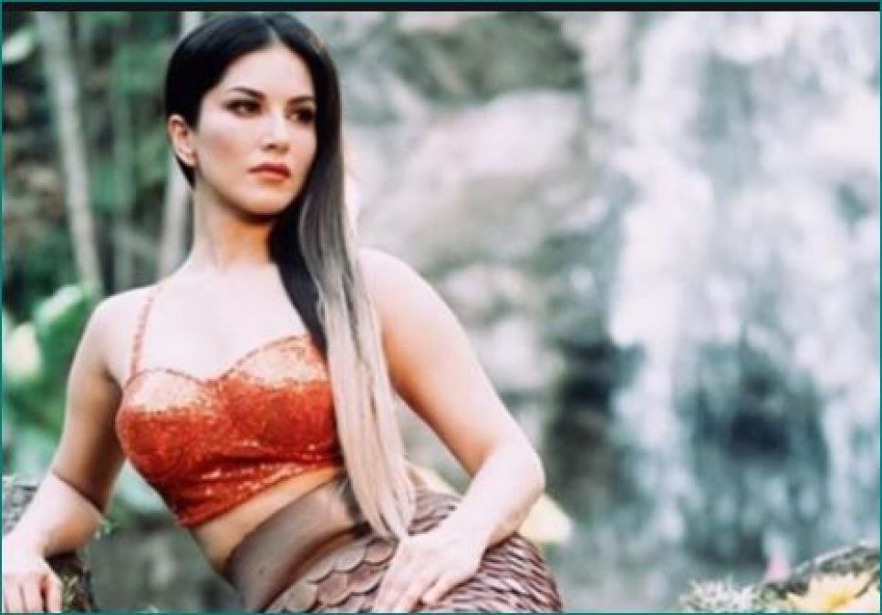 Sunny Leone accused for cheating programme coordinator of Rs 29 Lakh