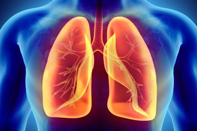 Scientists discover possible lung cancer diagnostic and therapeutic target
