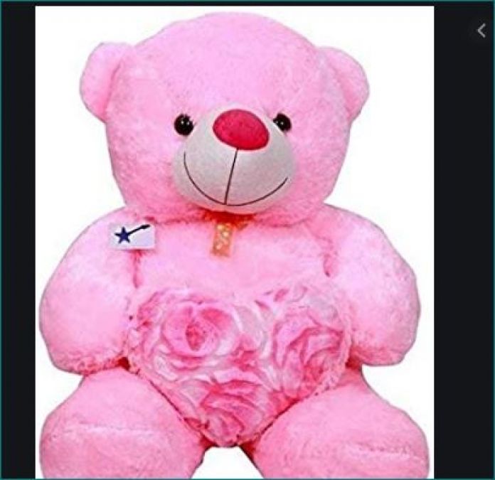 Happy Teddy Day: Give teddy bear according to color to express desires of heart